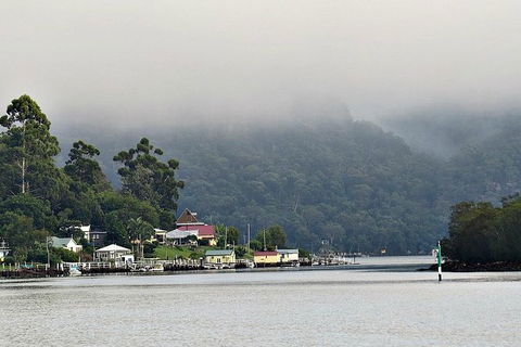 Hawkesbury River Kayak Adventure - Accommodation Ballina 10