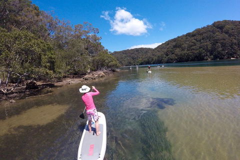 Ku-ring-gai Chase National Park Stand Up Paddleboard Tour - Accommodation Ballina 4