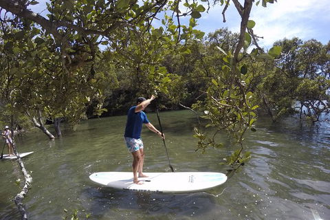 Ku-ring-gai Chase National Park Stand Up Paddleboard Tour - Accommodation Ballina 0
