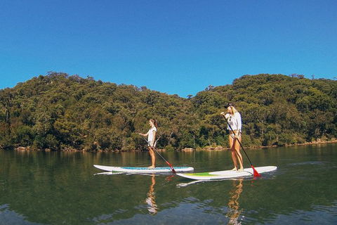 Ku-ring-gai Chase National Park Stand Up Paddleboard Tour - Accommodation Ballina 3