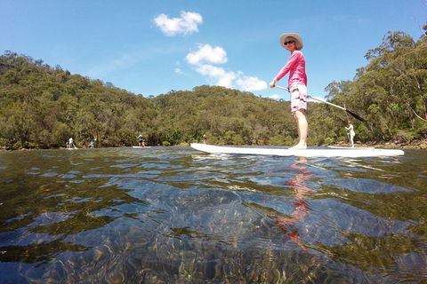 Ku-ring-gai Chase National Park Stand Up Paddleboard Tour - Accommodation Ballina 2