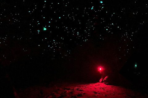 Blue Mountains Hiking Glow Worms Cave Wildlife Spotlighting Night Adventure - Accommodation Ballina 5