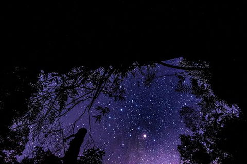 Blue Mountains Hiking Glow Worms Cave Wildlife Spotlighting Night Adventure - Accommodation Ballina 11