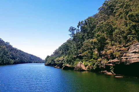 Scenic Adventure Cruise - Accommodation Ballina 11