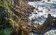 Beaches Of Eden Photographic Discovery Tours - thumb 21