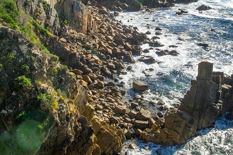 Beaches Of Eden Photographic Discovery Tours - Accommodation Ballina 21