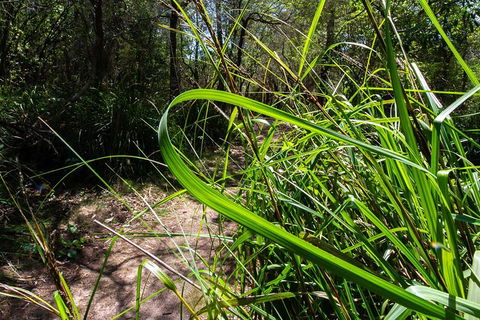 Beaches Of Eden Photographic Discovery Tours - Accommodation Ballina 22