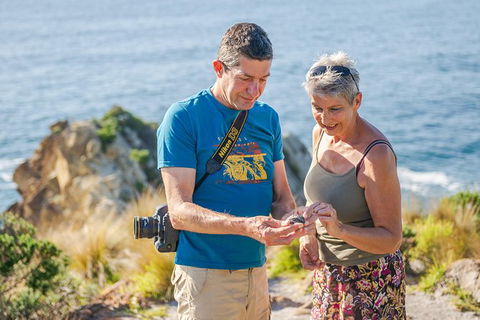 Beaches Of Eden Photographic Discovery Tours - Accommodation Ballina 18