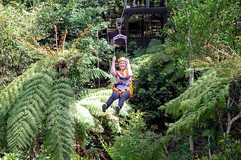 Illawarra Fly Treetop Adventures Treetop Walk Admission Ticket - Accommodation Ballina 2