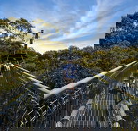 Illawarra Fly Treetop Adventures Treetop Walk Admission Ticket - Accommodation Ballina