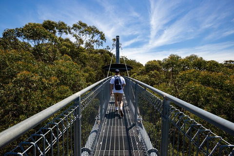 Illawarra Fly Treetop Adventures Treetop Walk Admission Ticket - Accommodation Ballina 0