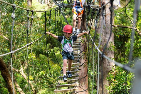 Illawarra Fly Treetop Adventures Treetop Walk Admission Ticket - Accommodation Ballina 3