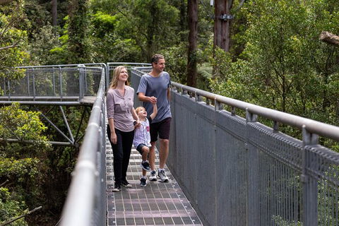 Illawarra Fly Treetop Adventures Treetop Walk Admission Ticket - Accommodation Ballina 1