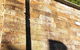 Slums, Slashings & Sly-grog â€” A History Tour Of Surry Hills & Darlinghurst - thumb 4