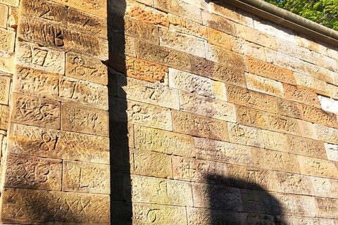 Slums, Slashings & Sly-grog â€” A History Tour Of Surry Hills & Darlinghurst - Accommodation Ballina 4