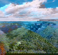 Private Tour Blue Mountains and Jenolan Caves Day Trip from Sydney - Accommodation Ballina