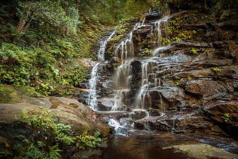 Ultimate Blue Mountains Waterfalls, Walks & Sunset PRIVATE Tour - Accommodation Ballina 10