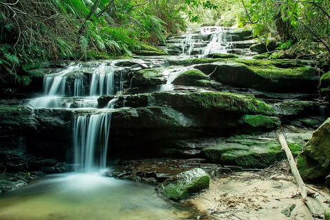 Ultimate Blue Mountains Waterfalls, Walks & Sunset PRIVATE Tour - Accommodation Ballina 2