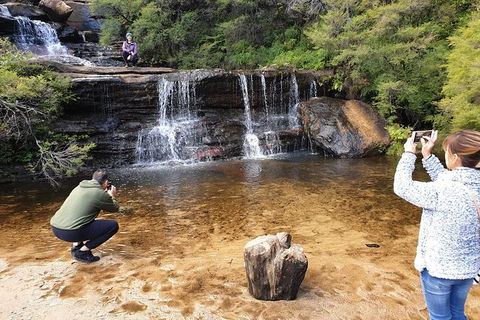 Ultimate Blue Mountains Waterfalls, Walks & Sunset PRIVATE Tour - Accommodation Ballina 0