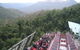 Blue Mountains PRIVATE - Full Day Tour - 6 People Max - thumb 3