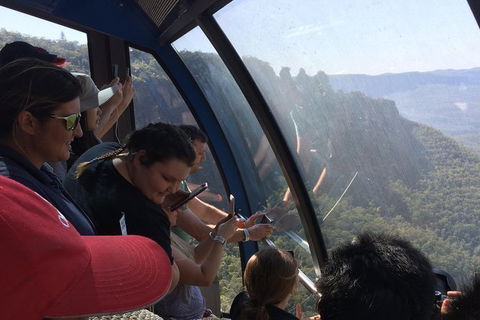 Blue Mountains PRIVATE - Full Day Tour - 6 People Max - Accommodation Ballina 9