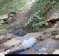 Bomaderry Creek Regional Park - Accommodation Ballina