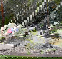 Maroochy Regional Bushland Botanic Garden - Accommodation Ballina