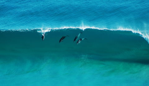 Sand Patch - Accommodation Ballina 1