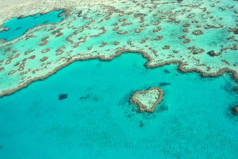 Whitsunday Region - Accommodation Ballina 0