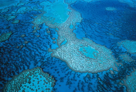 Whitsunday Region - Accommodation Ballina 2