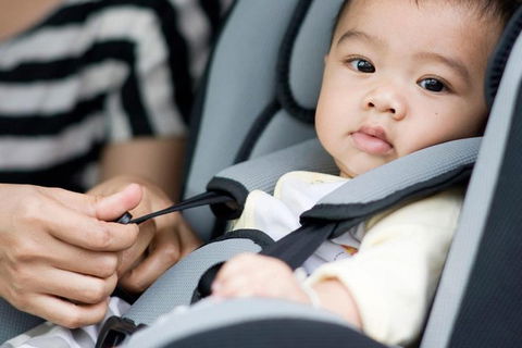 Sydney Airport Transfer With Two Free Baby Seats: Airport To City - Accommodation Ballina 1