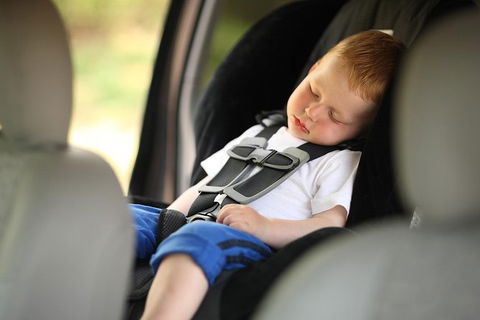 Sydney Airport Transfer With Two Free Baby Seats: Airport To City - Accommodation Ballina 0