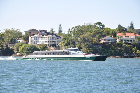 Blue Mountains Private Tours (Luxury VW Or Mercedes Sprinter) - Accommodation Ballina 20