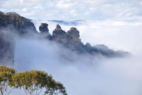 Blue Mountains Private Tours (Luxury VW Or Mercedes Sprinter) - Accommodation Ballina 3