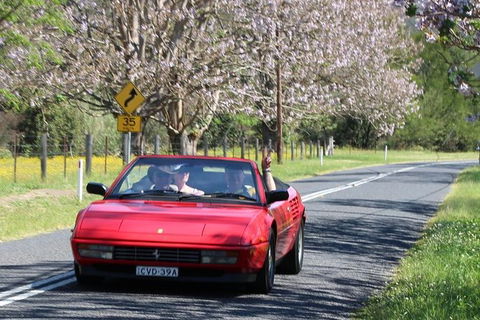 Six Bridges Of Sydney â€œVintage Car Rideâ€ Experience - Accommodation Ballina 1