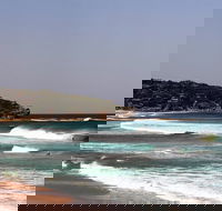 Half day Manly Beach and more - Accommodation Ballina