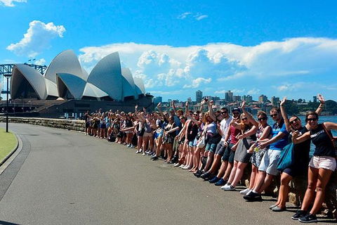 7-Day Tour In Sydney With Airport Pickup - Accommodation Ballina 16