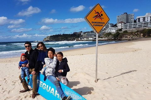 1Day Sydney Private Car Charter With Driver - Accommodation Ballina 3