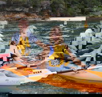 Double Kayak Hire - 4 Hours - Accommodation Ballina
