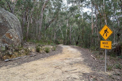Six Foot Track - Accommodation Ballina 4