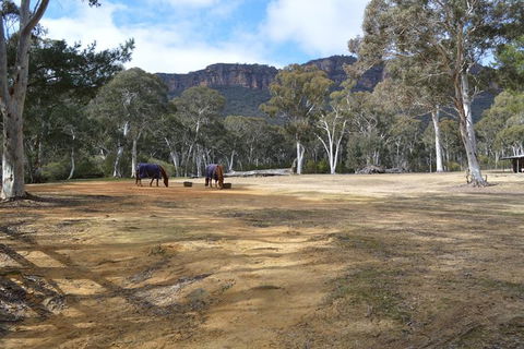 Six Foot Track - Accommodation Ballina 1
