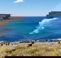 Hike into the Royal National Park - Accommodation Ballina