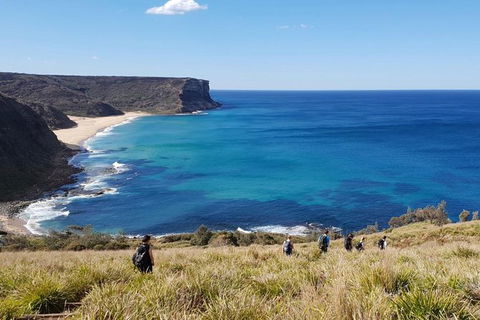 Hike Into The Royal National Park - Accommodation Ballina 0