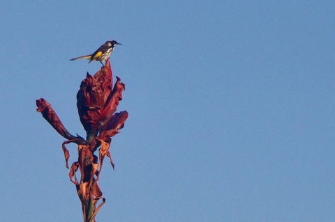 Hike Into The Royal National Park - Accommodation Ballina 4