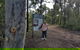 1.5 Hour Mulgoa Rock Look Out Tour - thumb 4