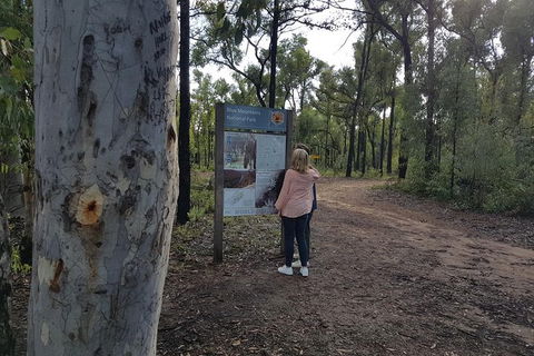 1.5 Hour Mulgoa Rock Look Out Tour - Accommodation Ballina 4