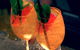 Potts Point Dining Walk - thumb 13