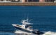 Sydney Harbour Fishing - thumb 1