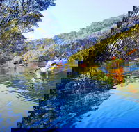 Middle Harbour Mangrove Explorer - Accommodation Ballina