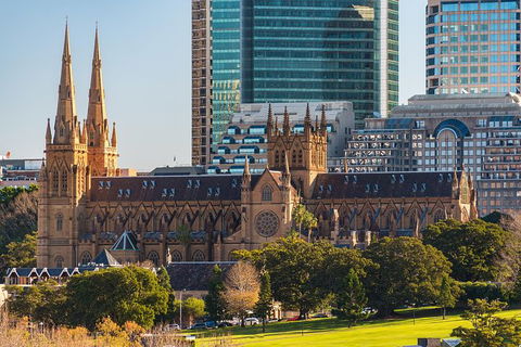 Discover Sydney - Botanic - Accommodation Ballina 4